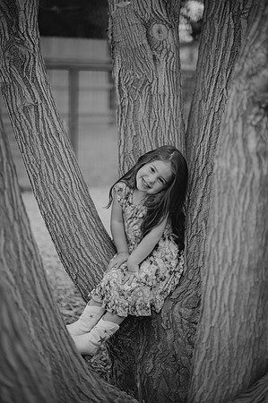 DSC_5369-2