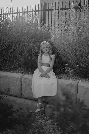 DSC_5991-2