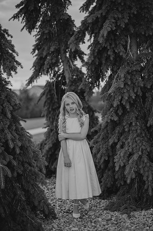 DSC_6220-3