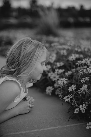 DSC_6050-3