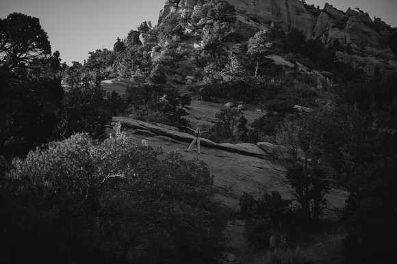 DSC_5549-2