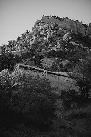 DSC_5552-2