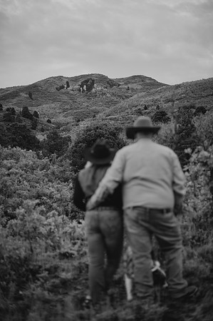 DSC_0341-2