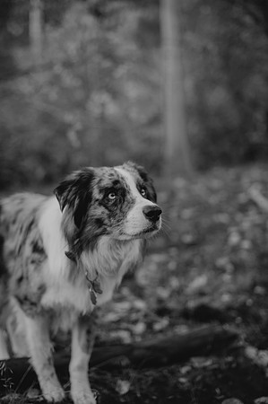 DSC_9940-2