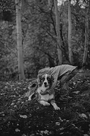 DSC_9953-2