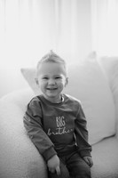 DSC_4537-2