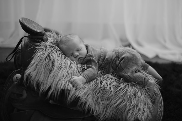 DSC_2861-2