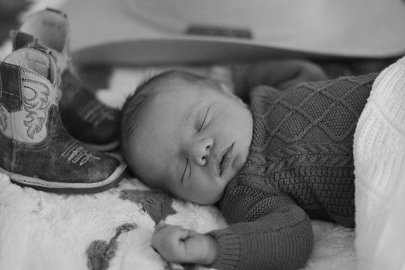 DSC_3136-3
