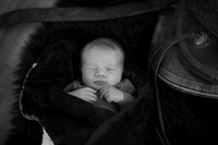 DSC_2533-3