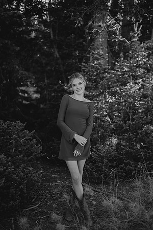 DSC_4400-3