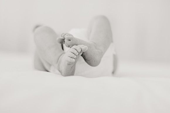 S66_6431-2