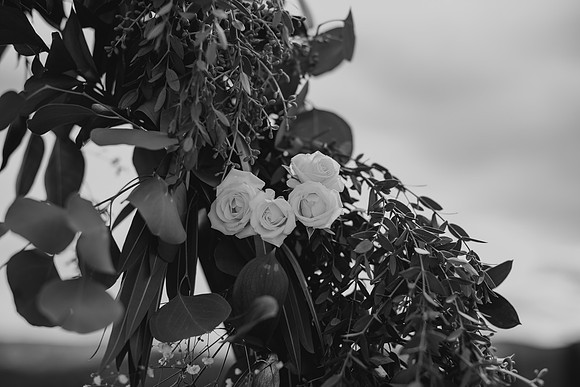DSC_5220-2
