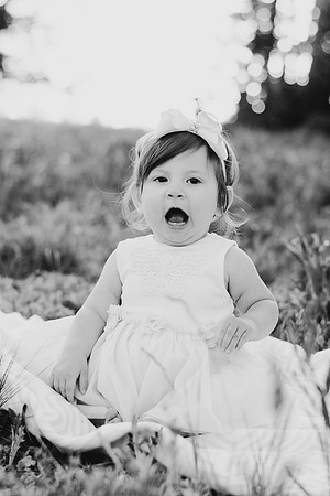 DSC_4150BW2-2