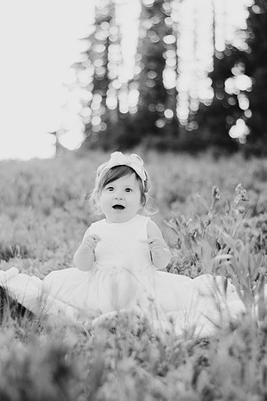 DSC_4190BW2-5