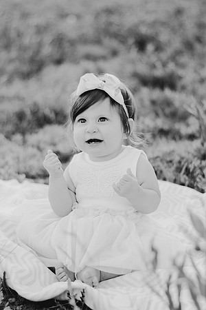 DSC_4200BW2-2