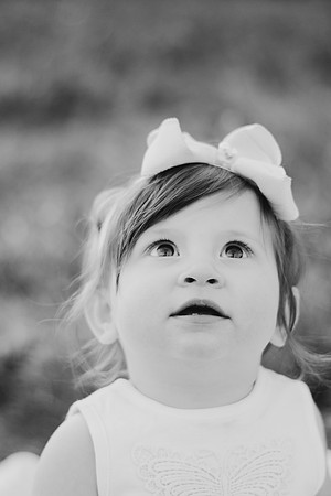 DSC_4209BW2-2
