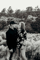 DSC_0011BW2-2