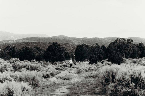 DSC_0267BW2-2