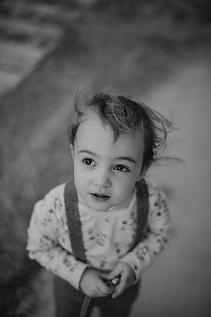 DSC_8740-2