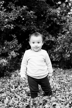 DSC_6935BW2-2