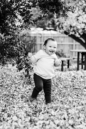 DSC_7053BW2-2
