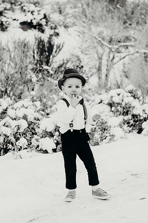 DSC_9356BW2-2