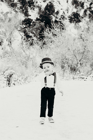 DSC_9385BW2-2