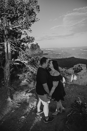 DSC_4563-2