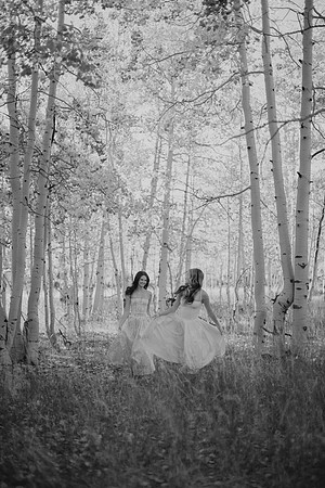 DSC_4300-2