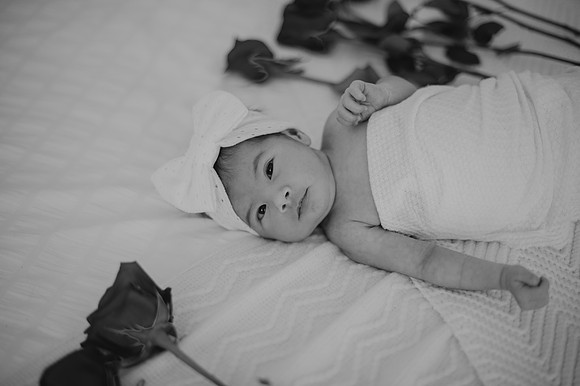 DSC_8982-2