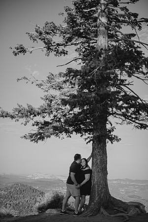 DSC_4847-2