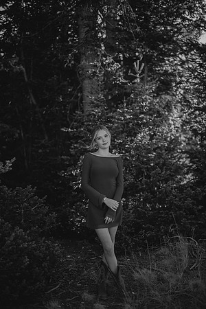 DSC_4395-2