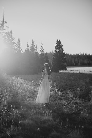 DSC_4491-2