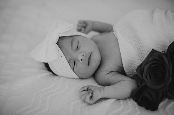 DSC_9097-2