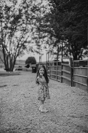 DSC_5162-2