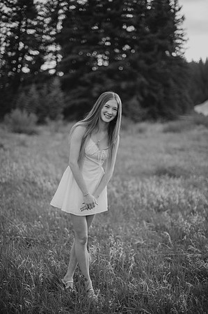 DSC_1519-2