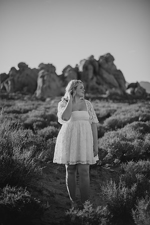 DSC_0100-2