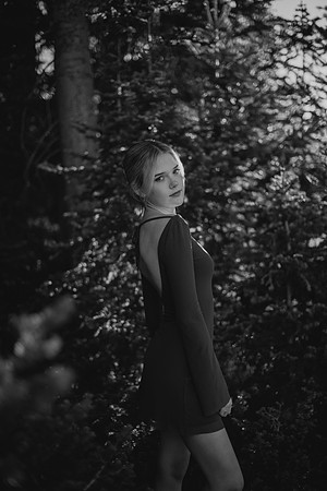 DSC_4379-2