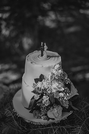 DSC_6596-2