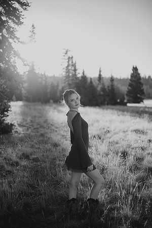 DSC_4349-3