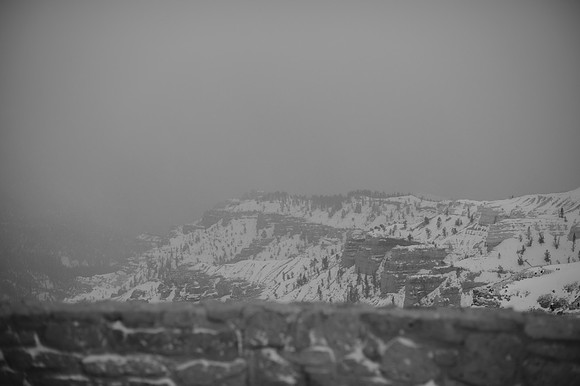 DSC_4288-2